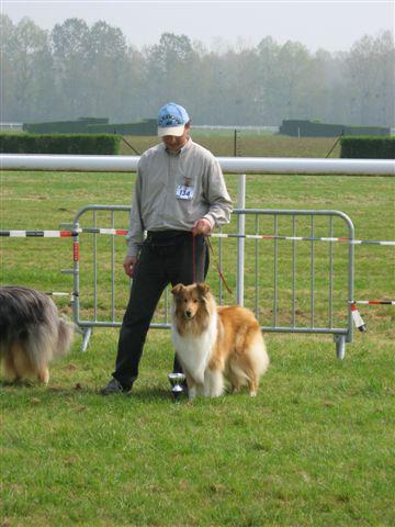 album/ene-2007-aujourdhui-ou-hier-de-la-foret-des-aigles-CSAU.jpg