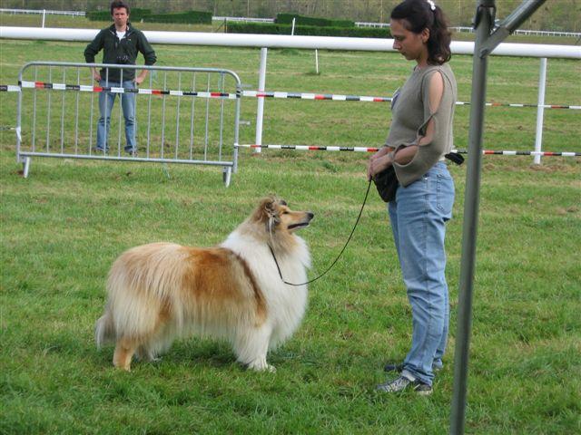 album/ene-2007-valentine-forever-de-la-foret-des-aigles.jpg