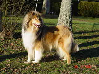album/photo-lola-2004-01-18-02.jpg