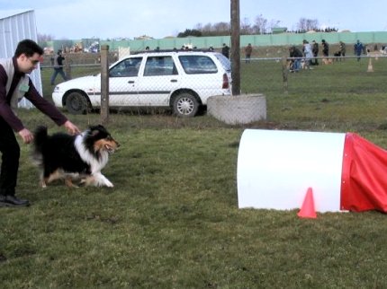 album/photo-portee-d-2005-03-05-dreamy-agility-1.jpg