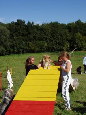 album/photo-portee-f-2004-09-19-Voika-agility.jpg