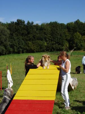 album/photo-portee-f-2004-09-19-Voika-agility.jpg