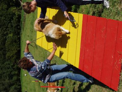 album/photo-portee-f-2004-09-19-onyx-peluche-agility.jpg