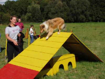 album/photo-portee-f-2004-09-19-voika-2-agility.jpg