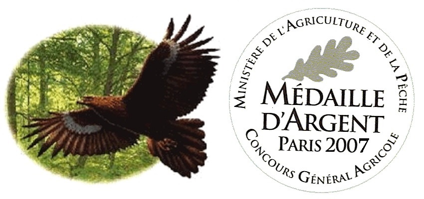 COLLEY ET BERGER AMÉRICAIN MINIATURE DE LA FORÊT DES AIGLES